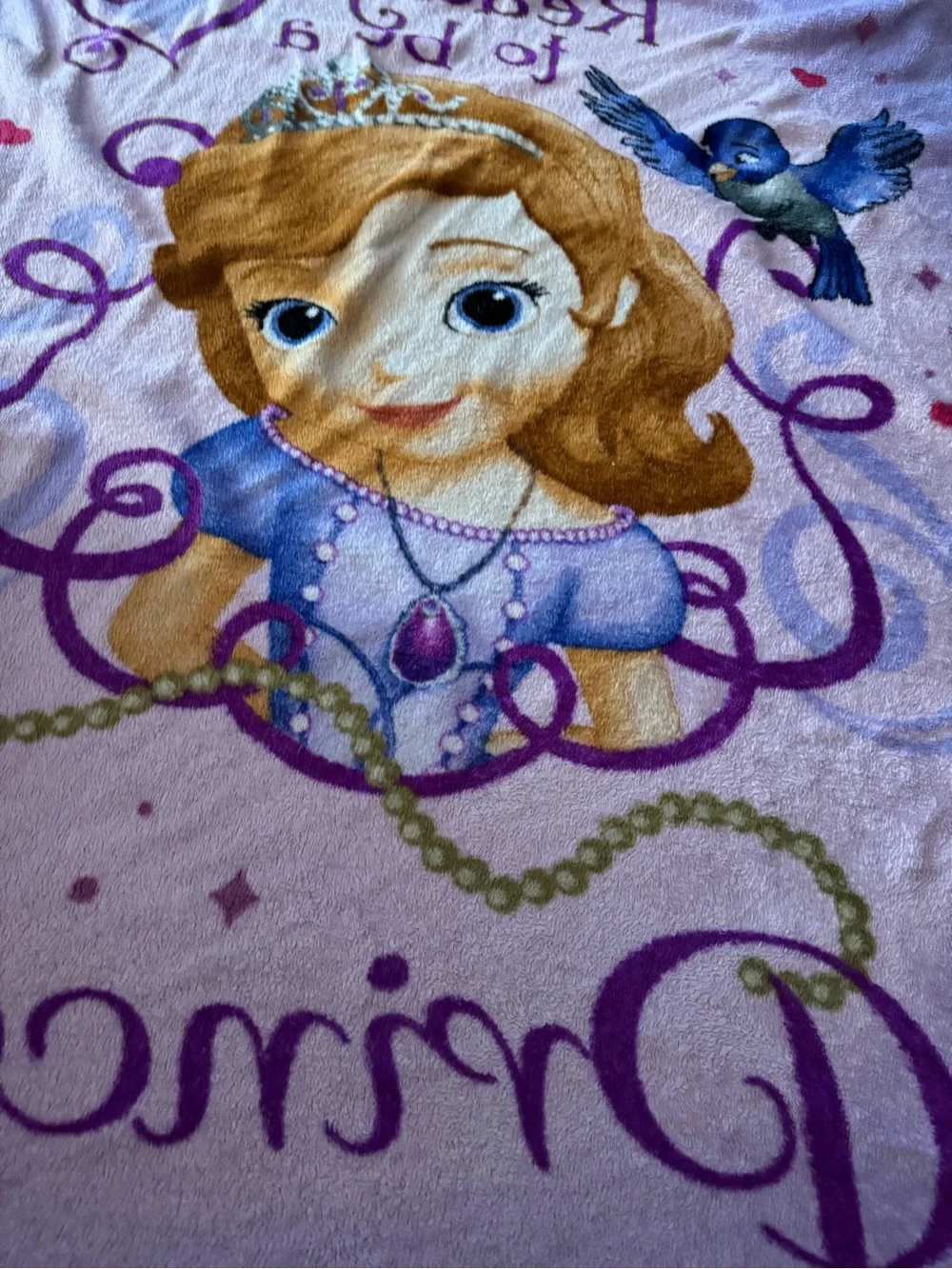Disney Sofia the First Princess Blanket Throw child size